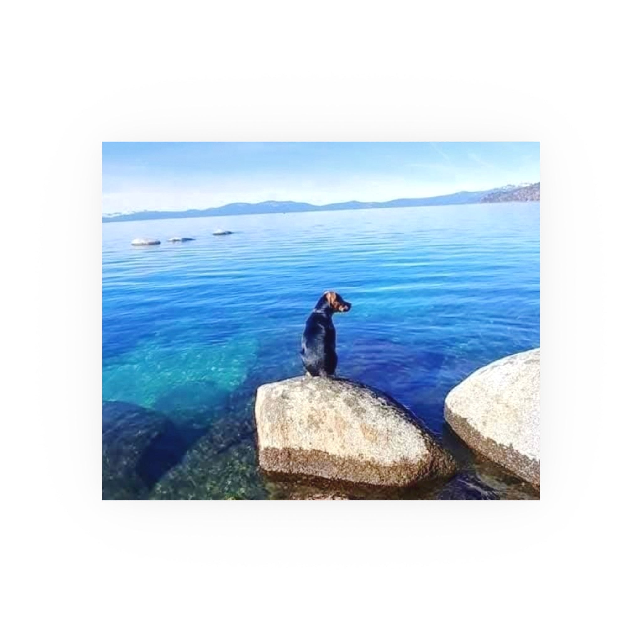 Guardian of the Blue Silence Fine Art Piece