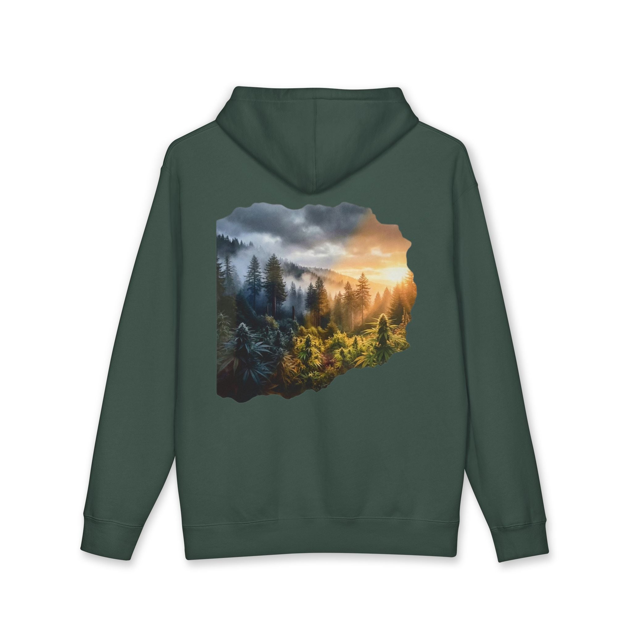 Coming Into the Light Hoodie
