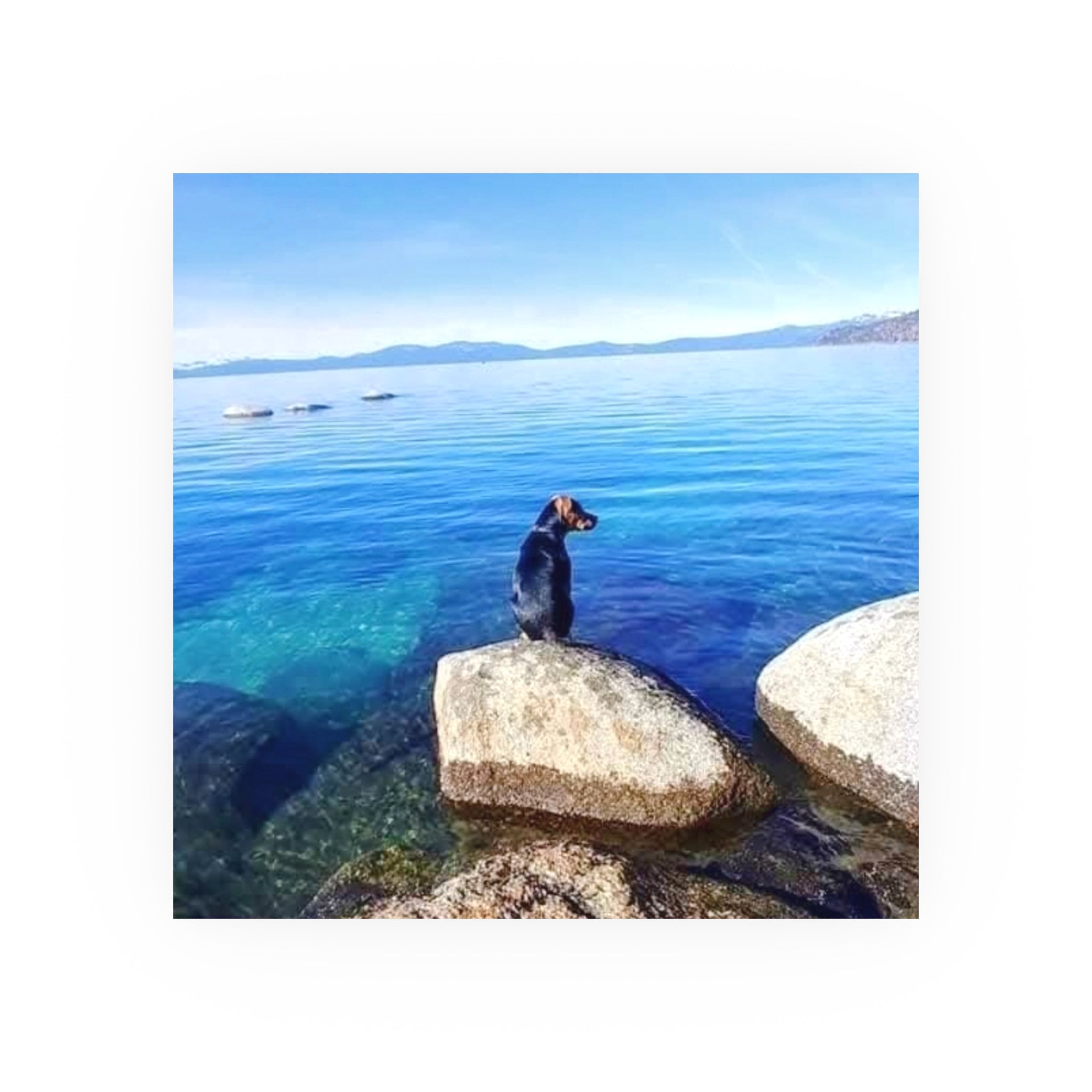 Guardian of the Blue Silence Fine Art Piece