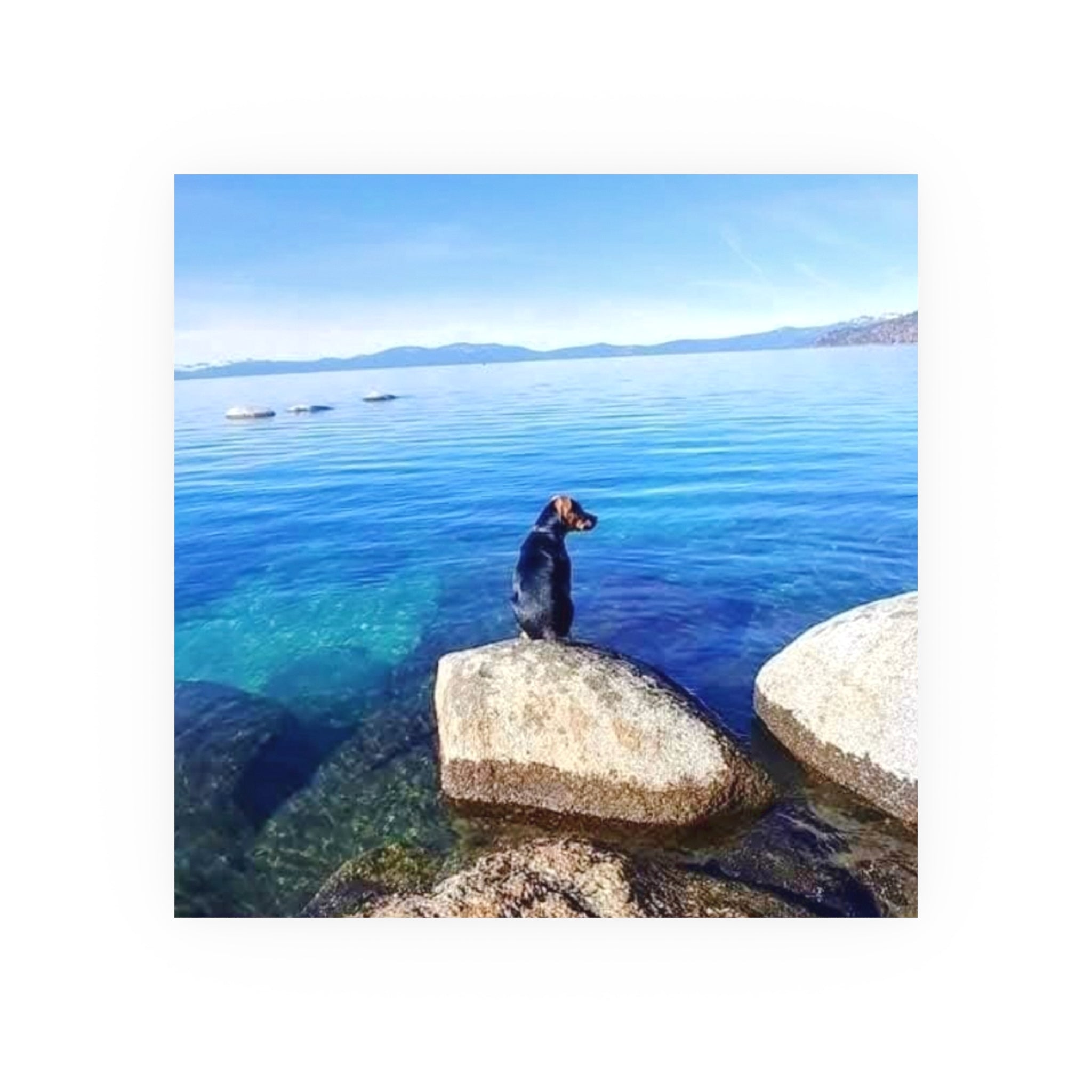 Guardian of the Blue Silence Fine Art Piece