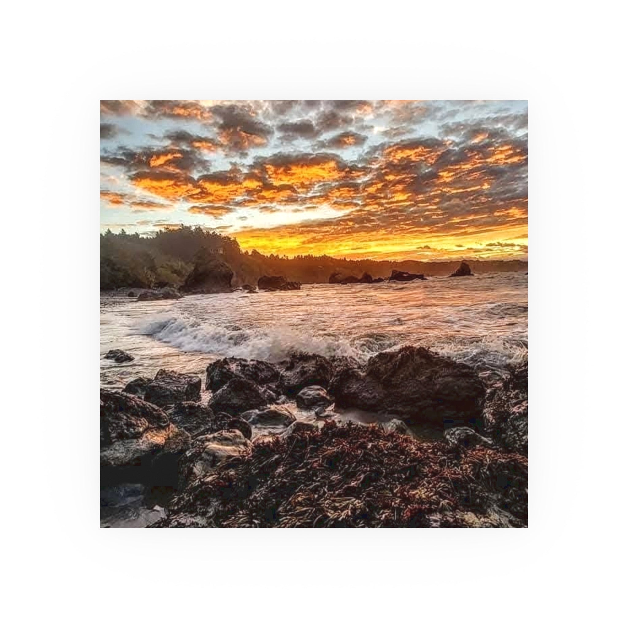 Old Home Sunrise Fine Art