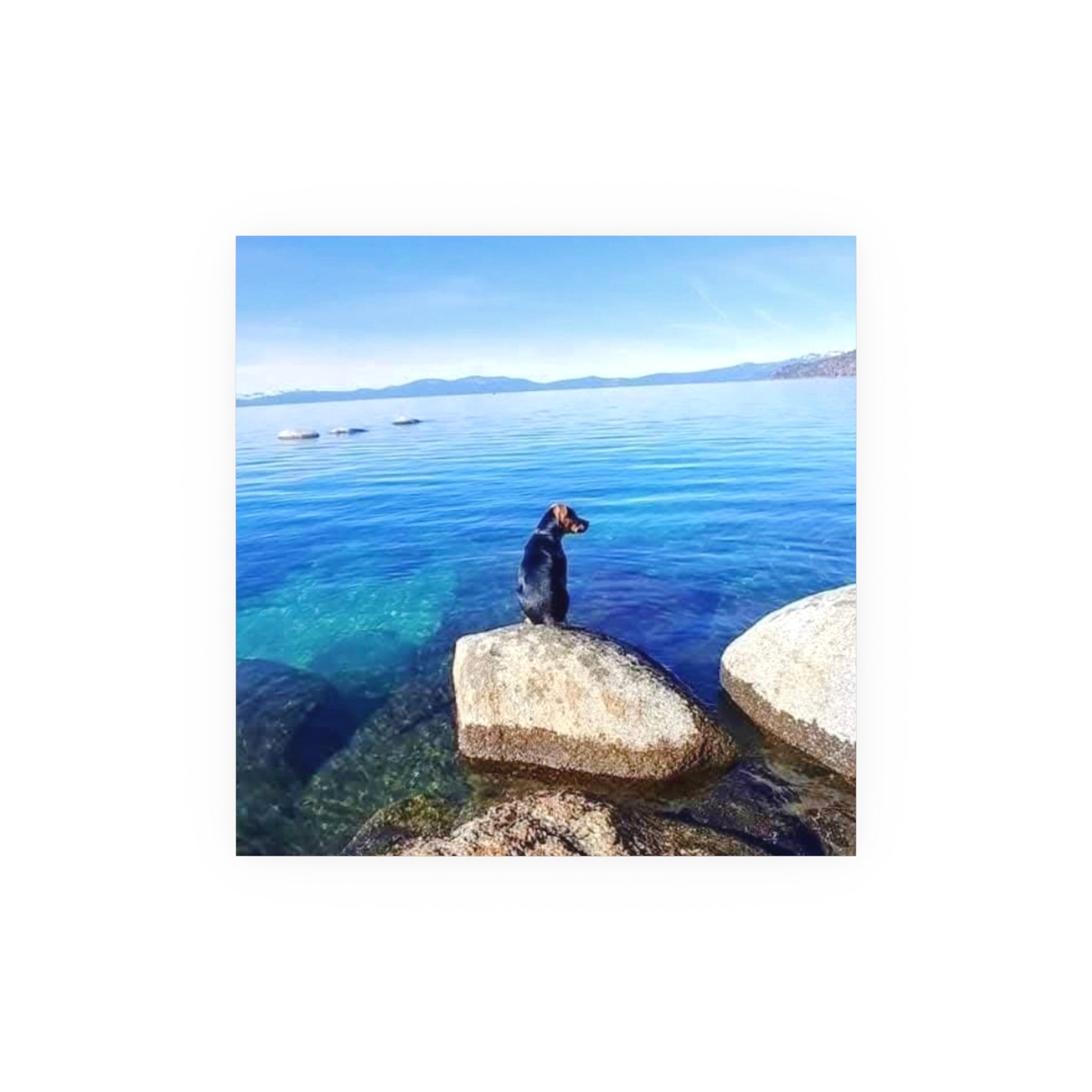 Guardian of the Blue Silence Fine Art Piece