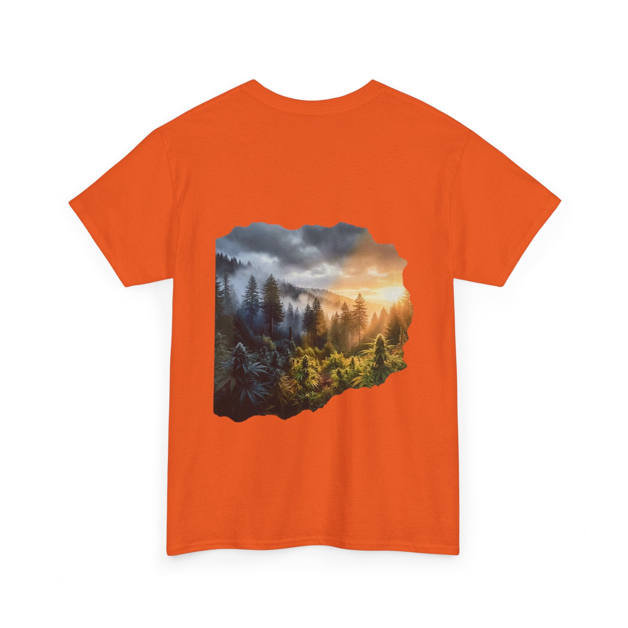 Coming Into the Light Short Sleeve Shirt