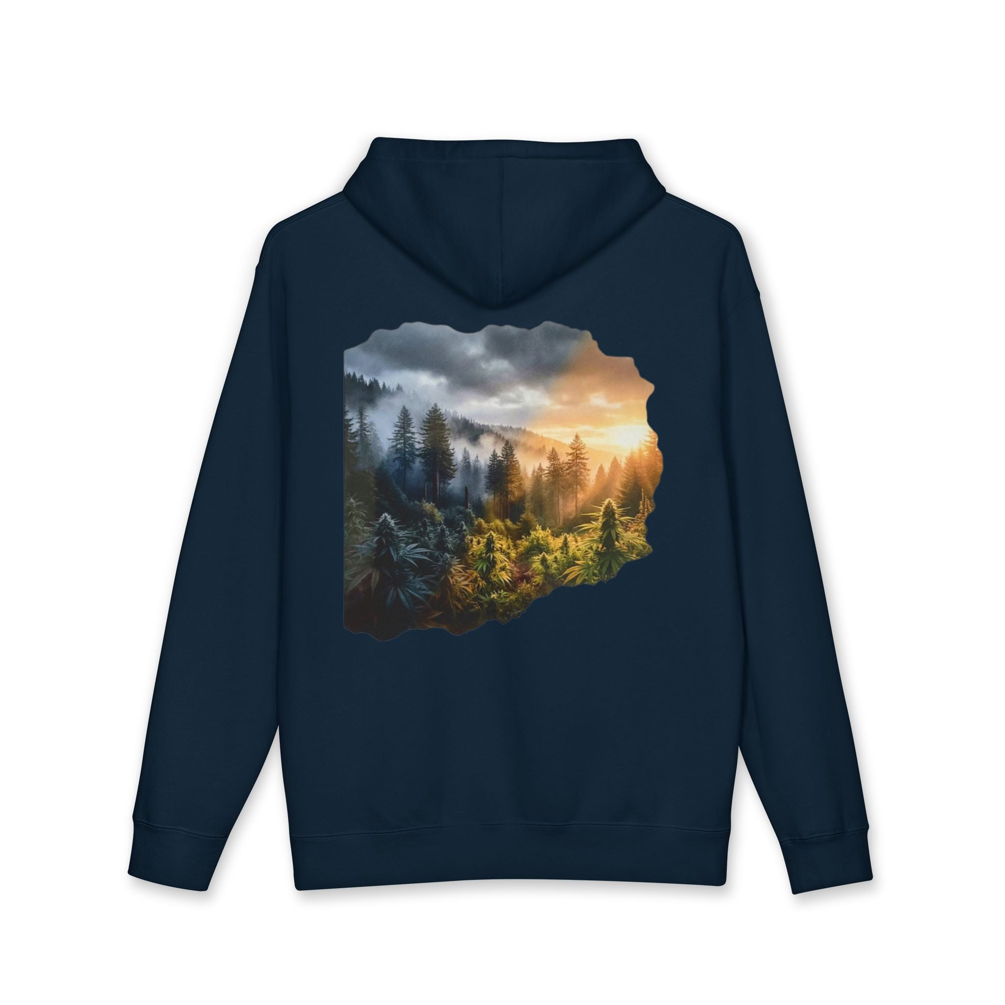 Coming Into the Light Hoodie
