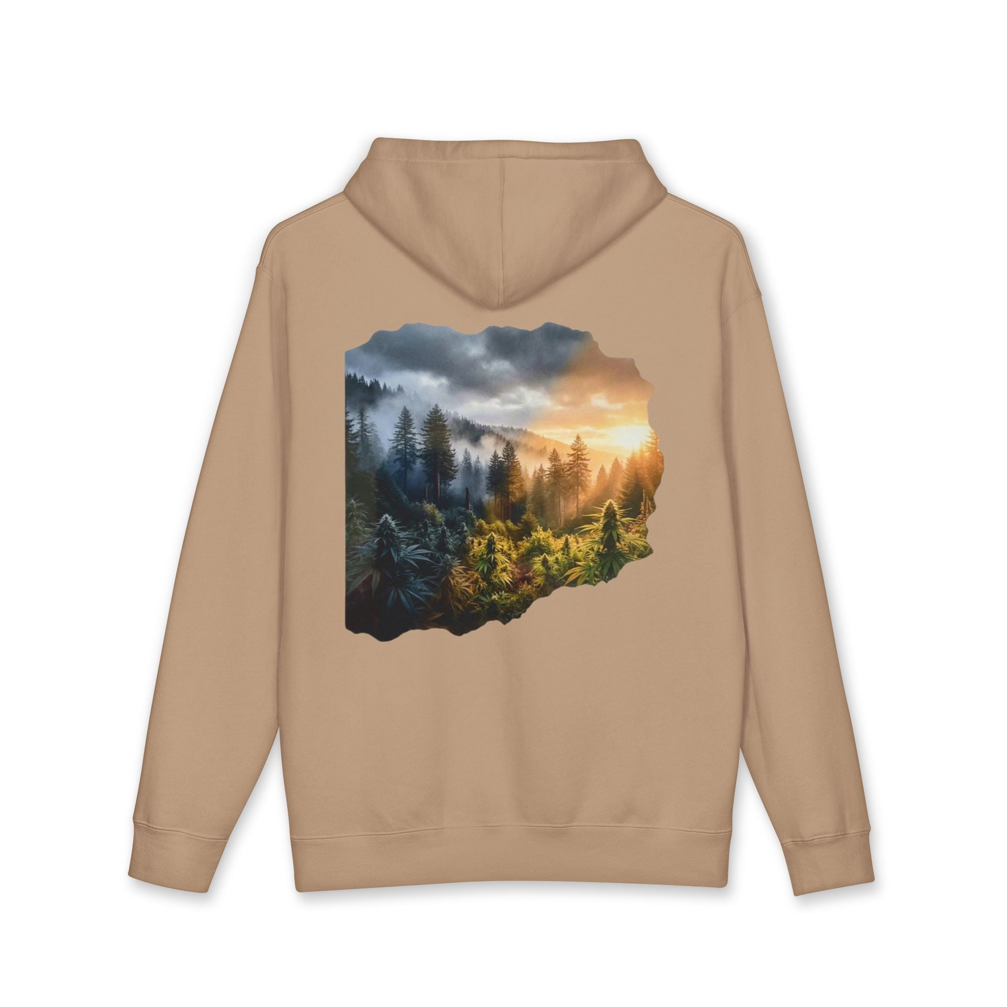 Coming Into the Light Hoodie