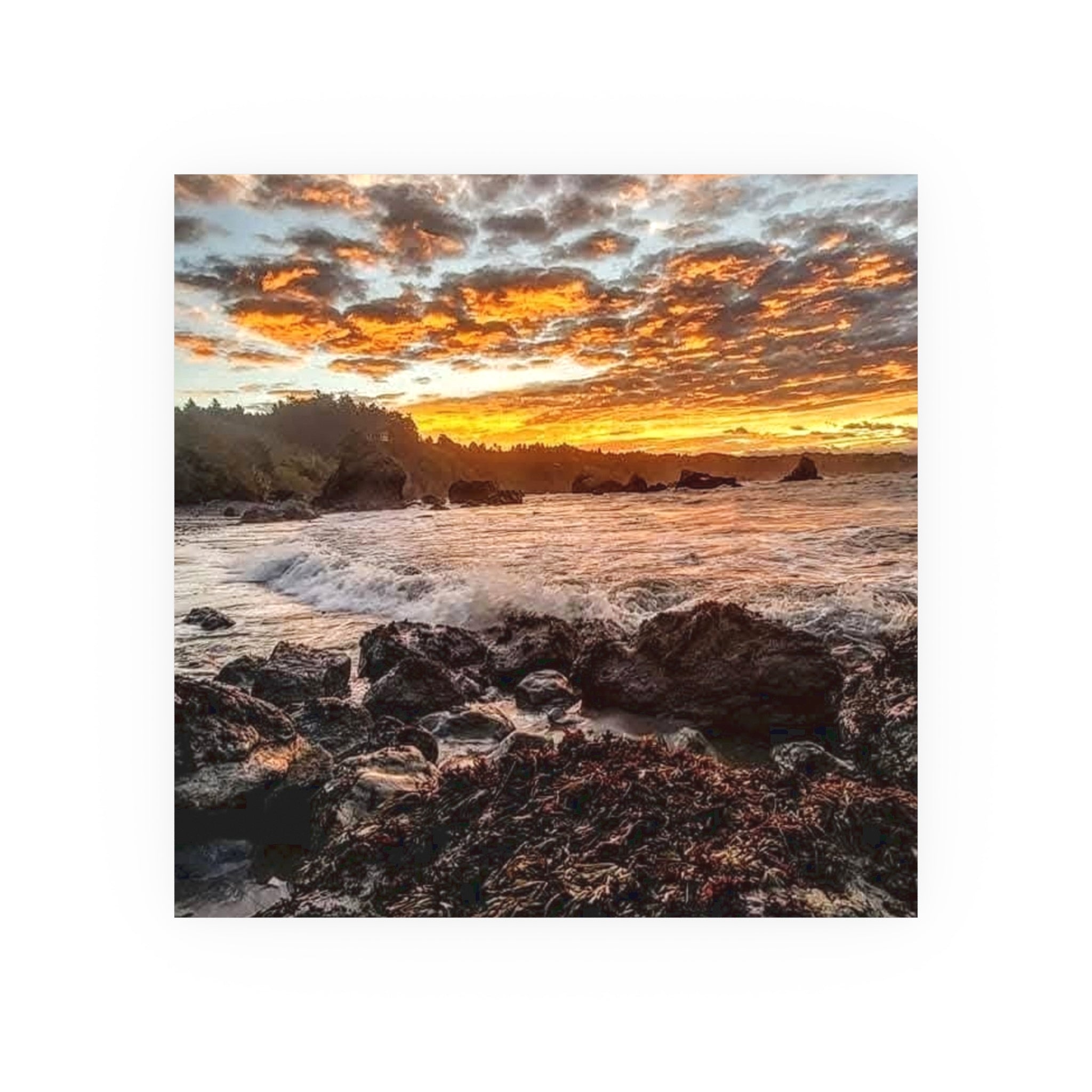 Old Home Sunrise Fine Art